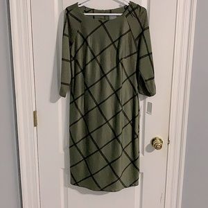 NWT Olive and black dress size 10